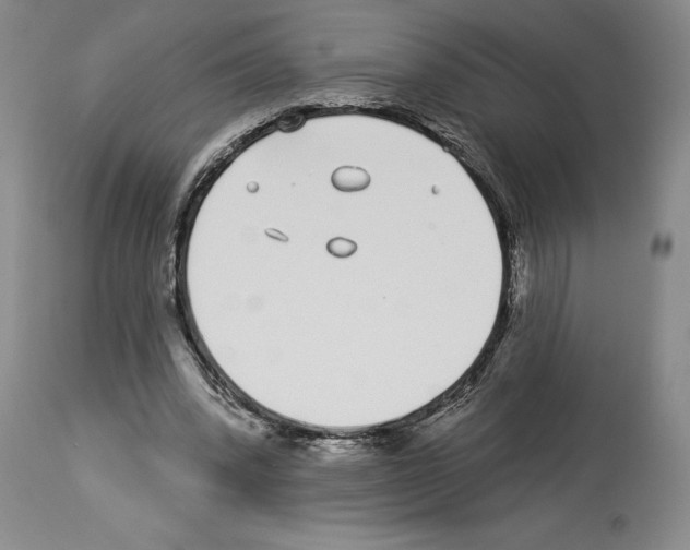 X0000114070392200911161157