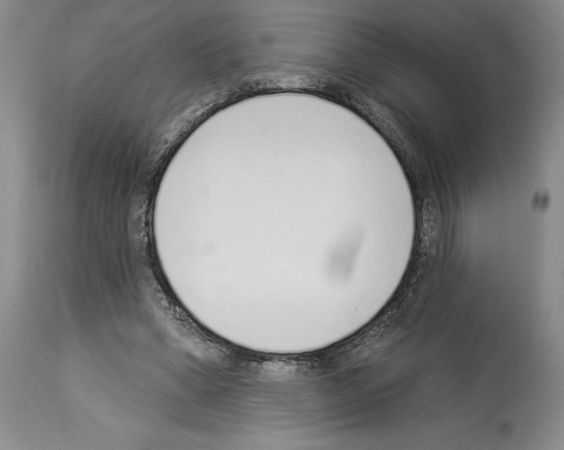 X0000114070394200911161157