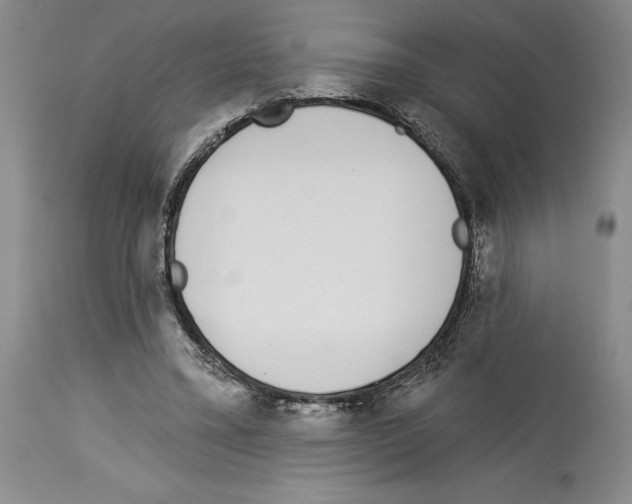 X0000114070395200911161157