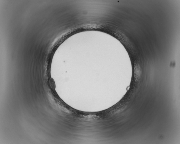 X0000114070396200911161157