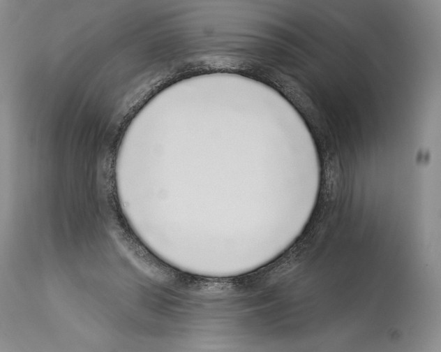 X0000114070398200911161157