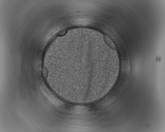 X0000114070399200911161157