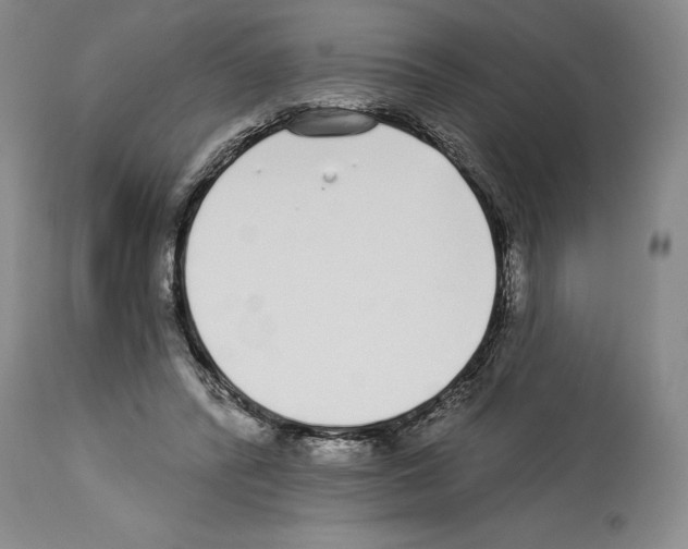 X0000114070400200911161157