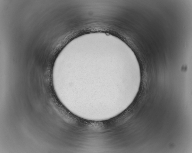 X0000114070402200911161157