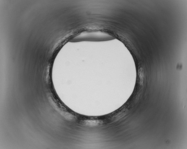 X0000114070404200911161157