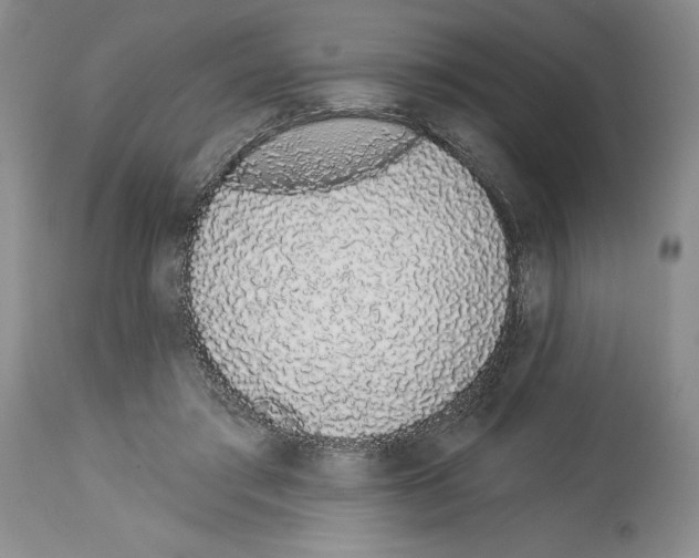 X0000114070405200911161157