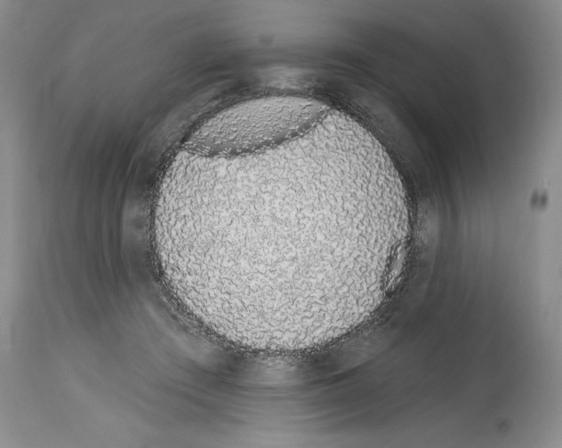 X0000114070409200911161157