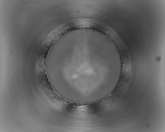 X0000114070411200911161157