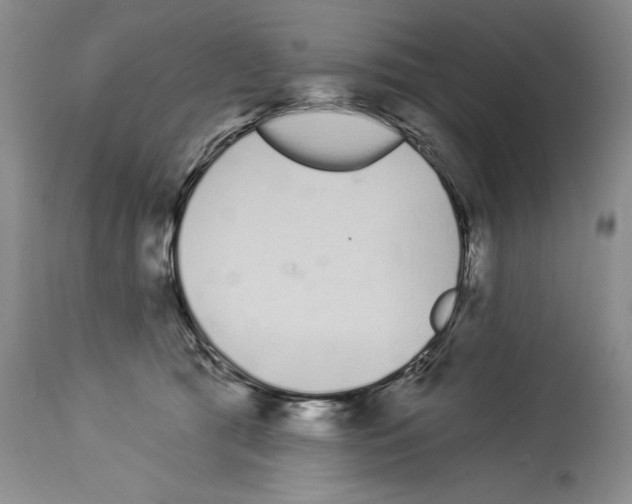 X0000114070417200911161157