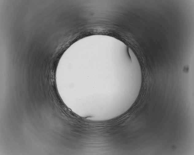 X0000114070419200911161157