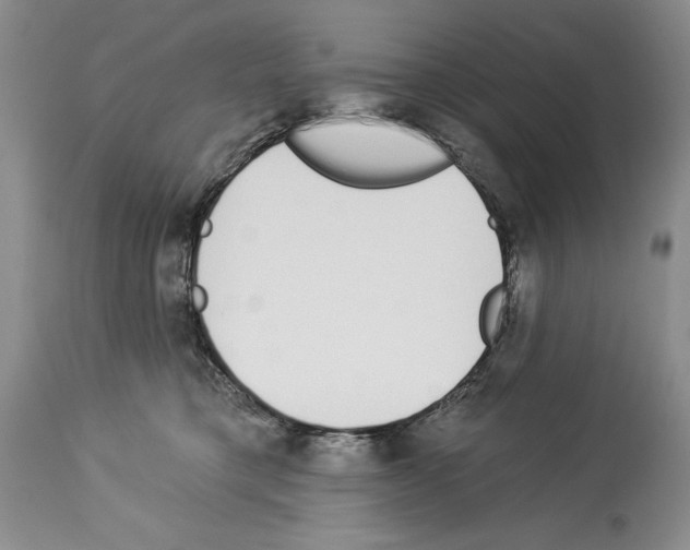 X0000114070421200911161157