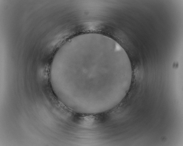 X0000114070423200911161157