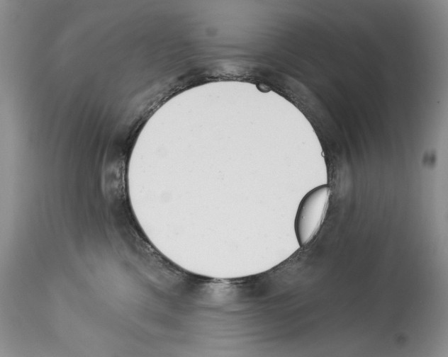 X0000114070425200911161157