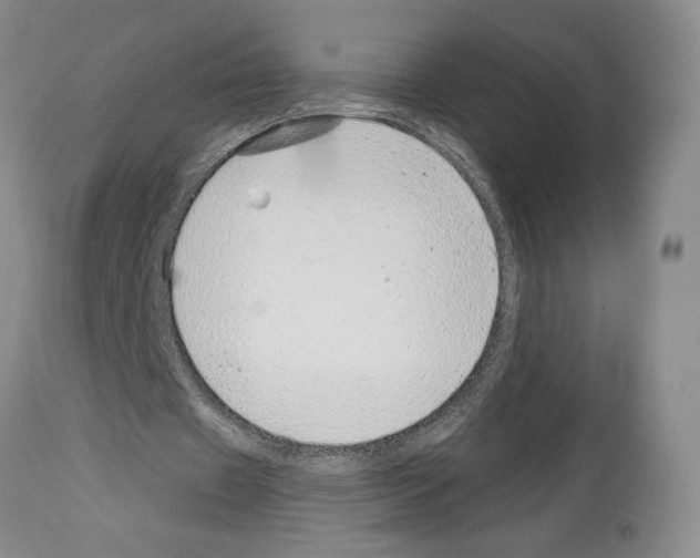 X0000114070433200911161156