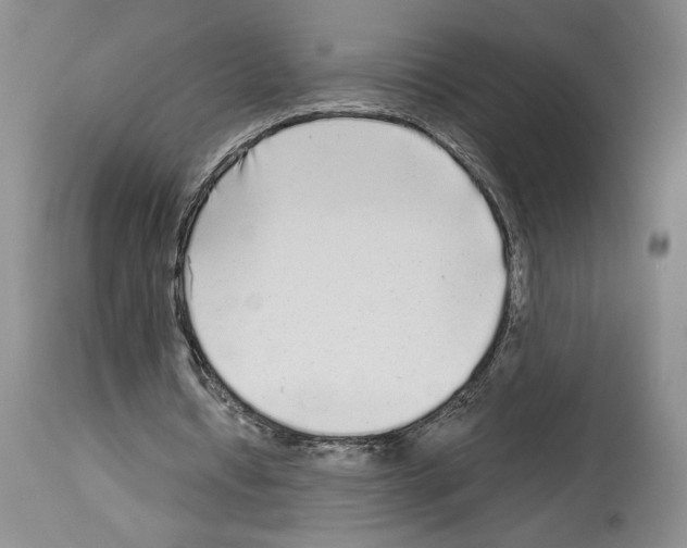 X0000114070434200911161156