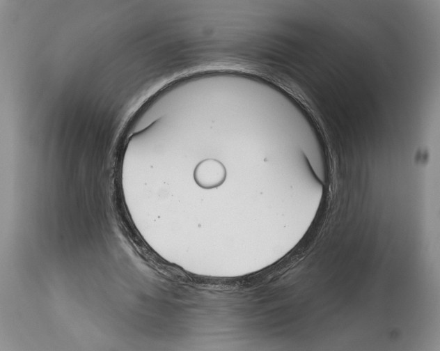 X0000114070436200911161156