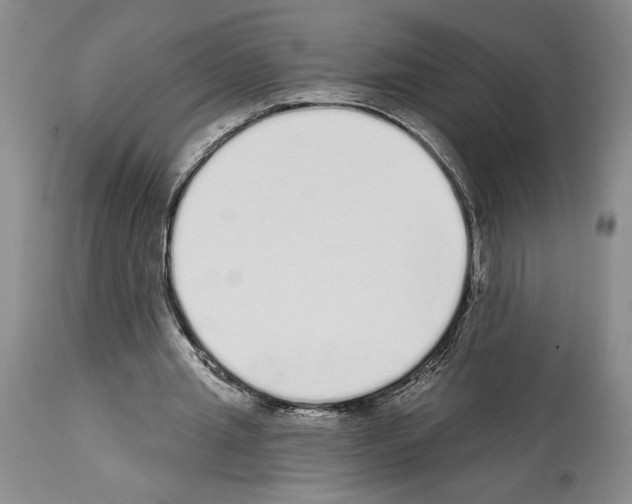 X0000114070437200911161156