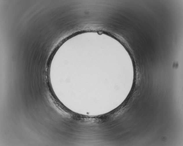 X0000114070439200911161156