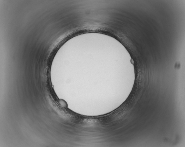 X0000114070440200911161156