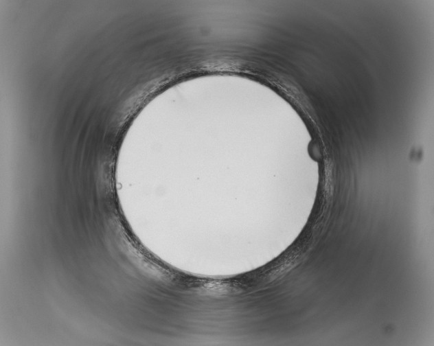 X0000114070441200911161156