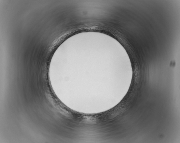 X0000114070442200911161156