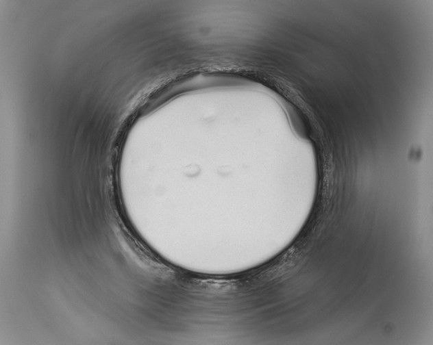 X0000114070443200911161156