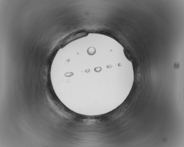 X0000114070448200911161156