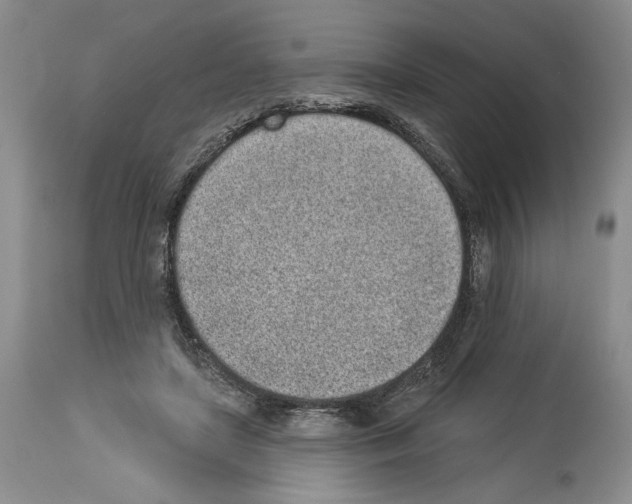 X0000114070451200911161156