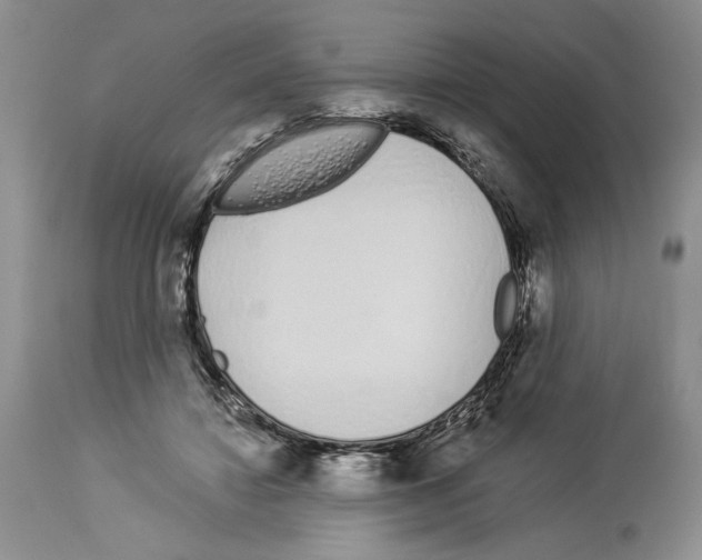 X0000114070452200911161156