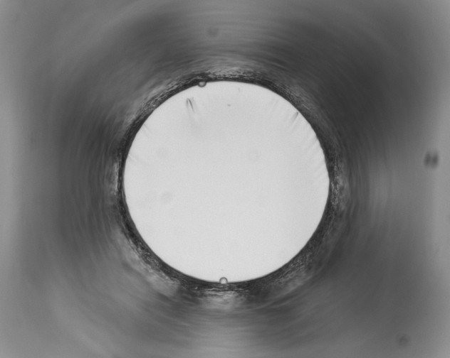 X0000114070454200911161156