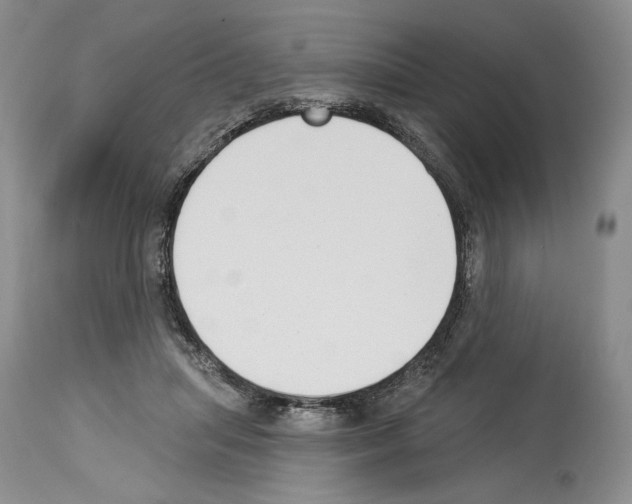 X0000114070455200911161156