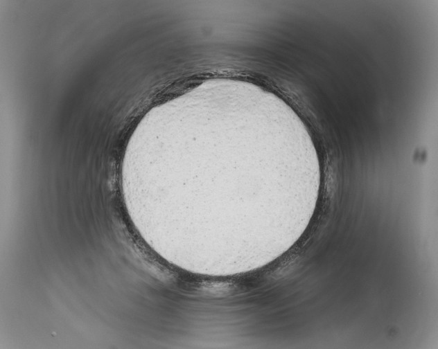 X0000114070457200911161156