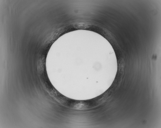 X0000114070460200911161156