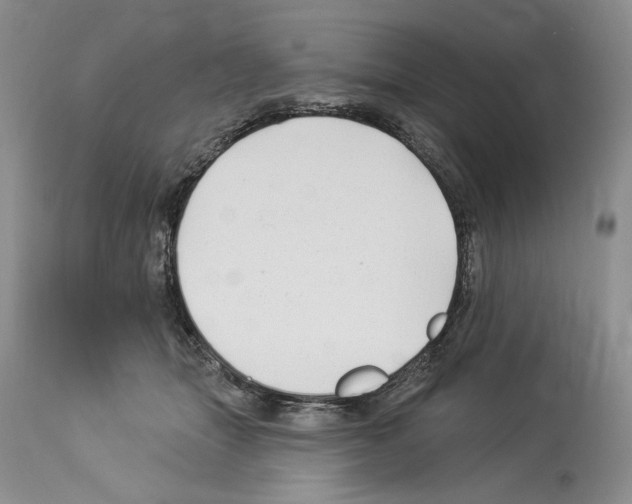 X0000114070463200911161156