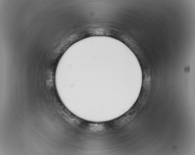 X0000114070469200911161156