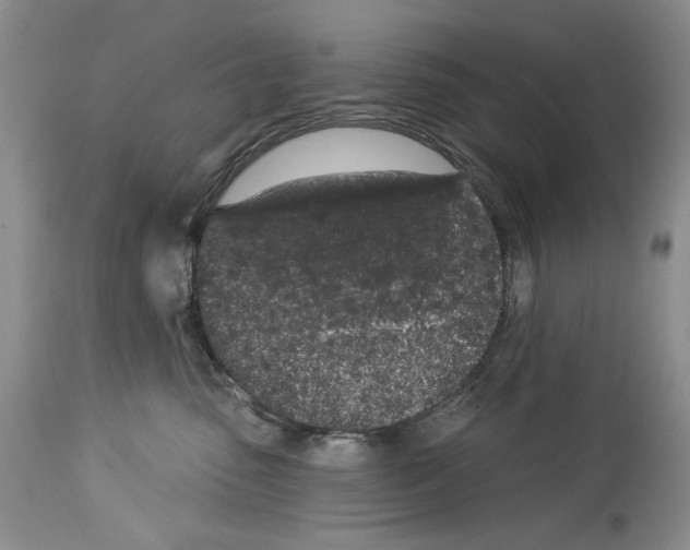 X0000114070475200911161156