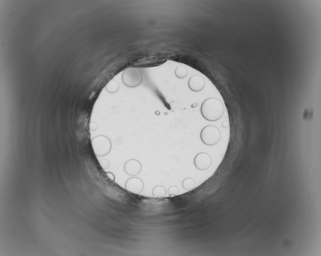 X0000114070480200911161157