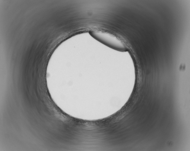 X0000114070481200911161156