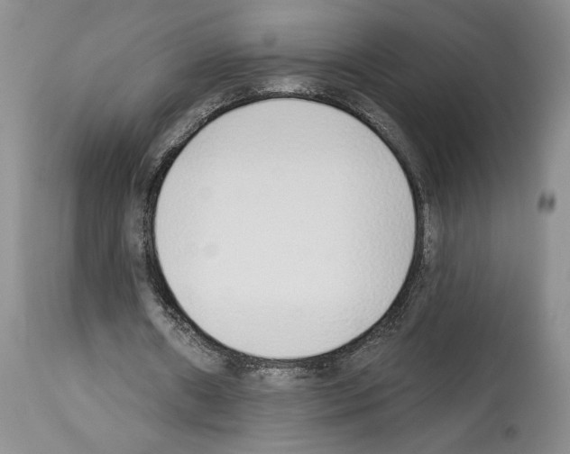 X0000114070482200911161156