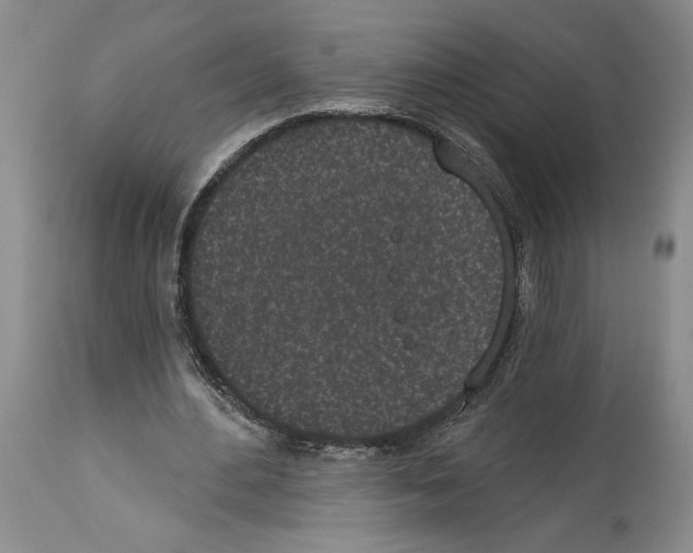 X0000114070484200911161156