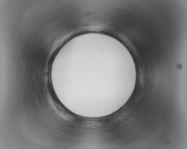 X0000114070486200911161156