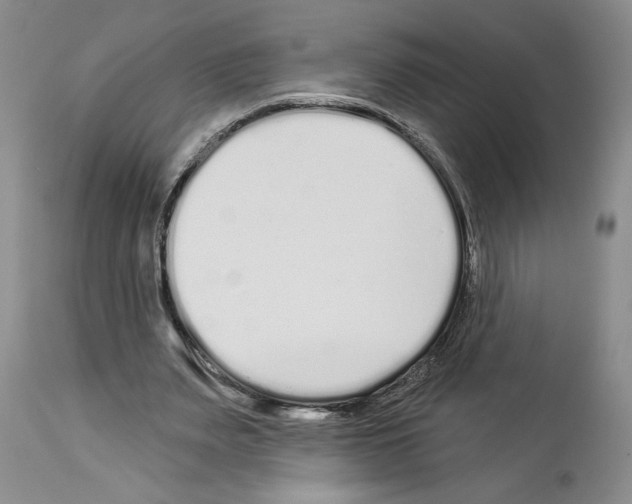 X0000114070487200911161156