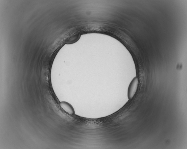 X0000114070489200911161156