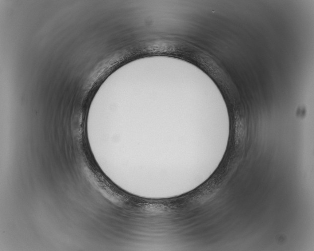 X0000114070490200911161156