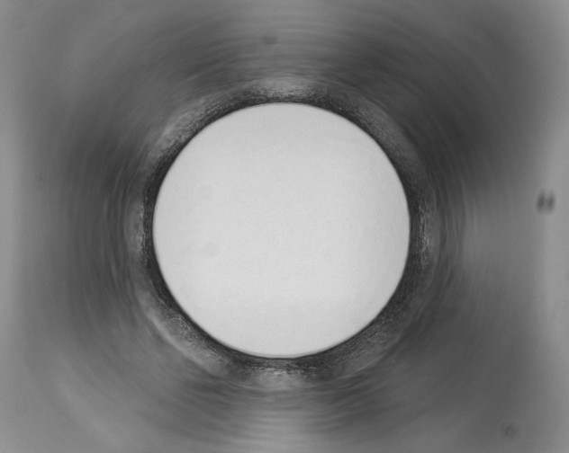 X0000114070494200911161156