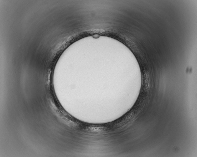 X0000114070495200911161156