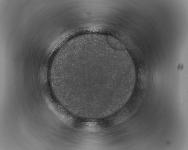 X0000114070496200911161156