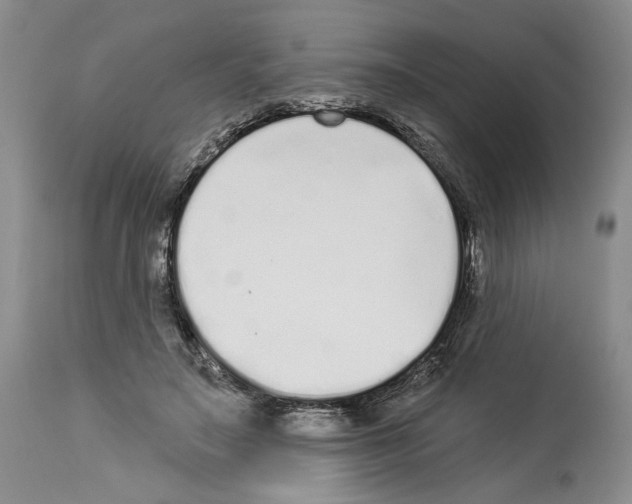 X0000114070499200911161156