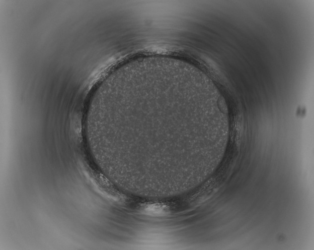 X0000114070500200911161156