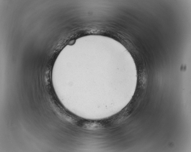 X0000114070503200911161156